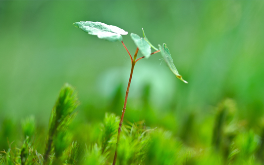 成都节能环保网站建设,成都节能环保网站设计方案